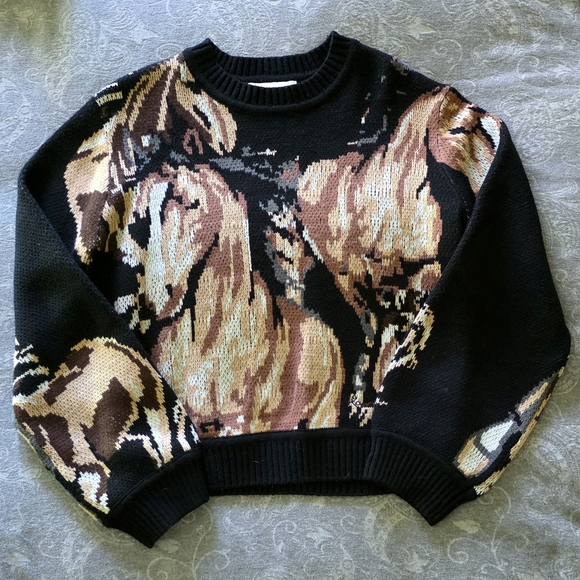 House of Sunny Sweaters - House of Sunny Wild Horses Knit Sweater (Size 6)